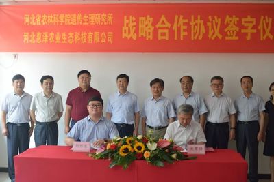 河北三農土壤修復再添利器 S506菌株使用權轉讓協議成功簽署
